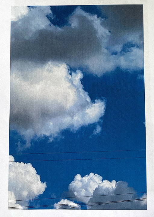 PRE-ORDER | Loteria Shorts Black